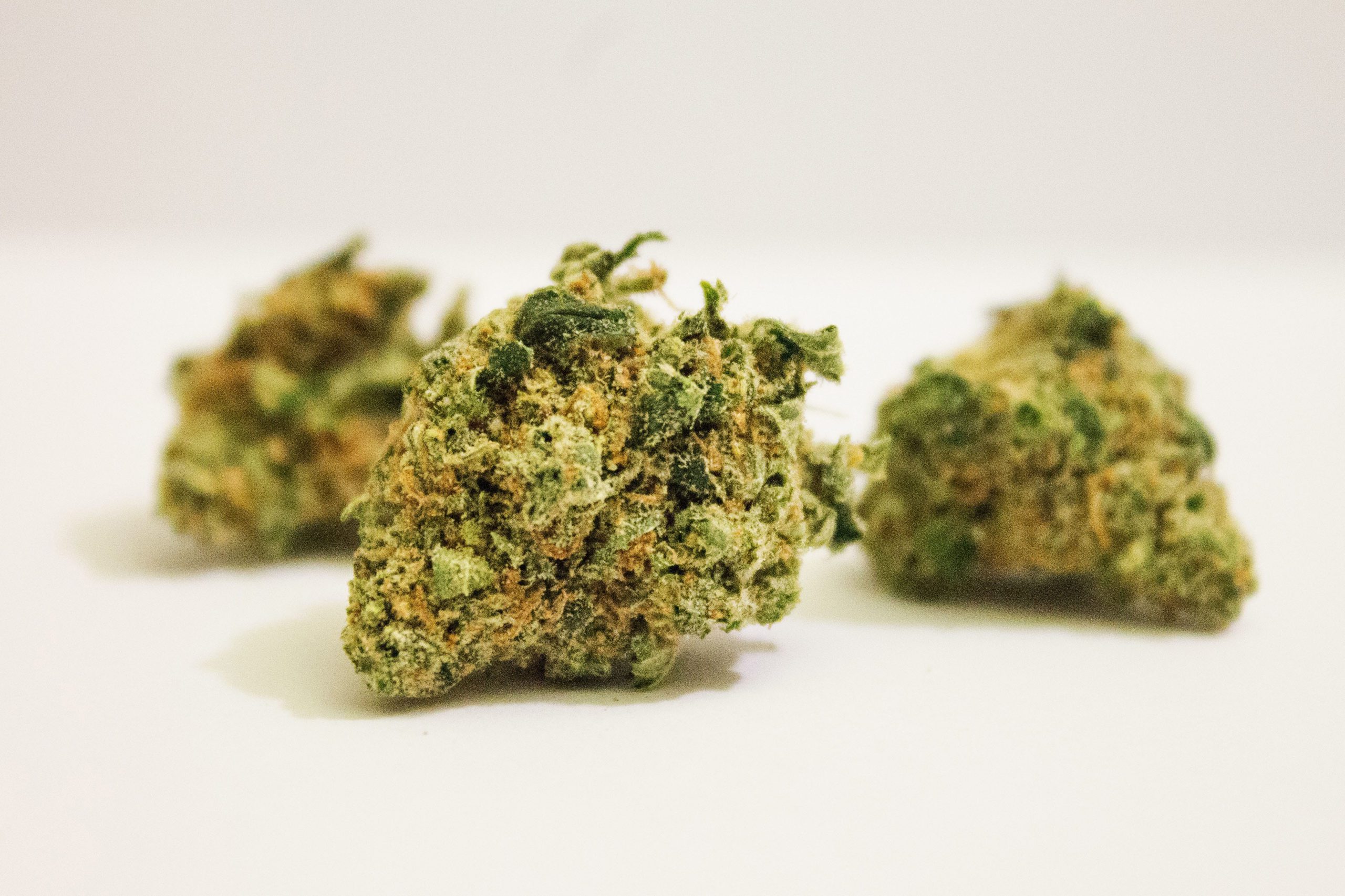 three marijuana buds