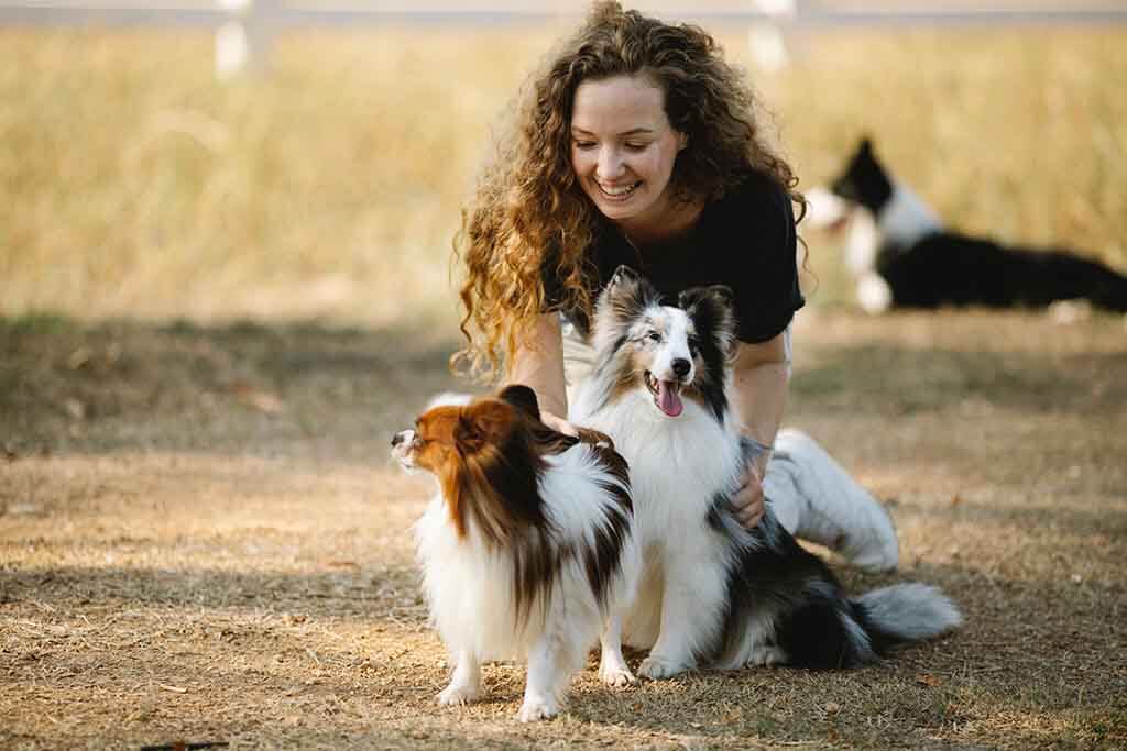 A lady petting two furry dogs