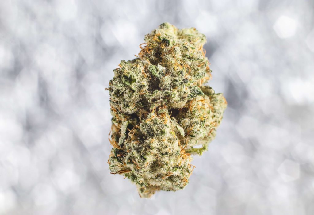 a marijuana bud for pain