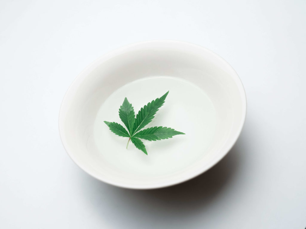 marijuana leaf floating in water