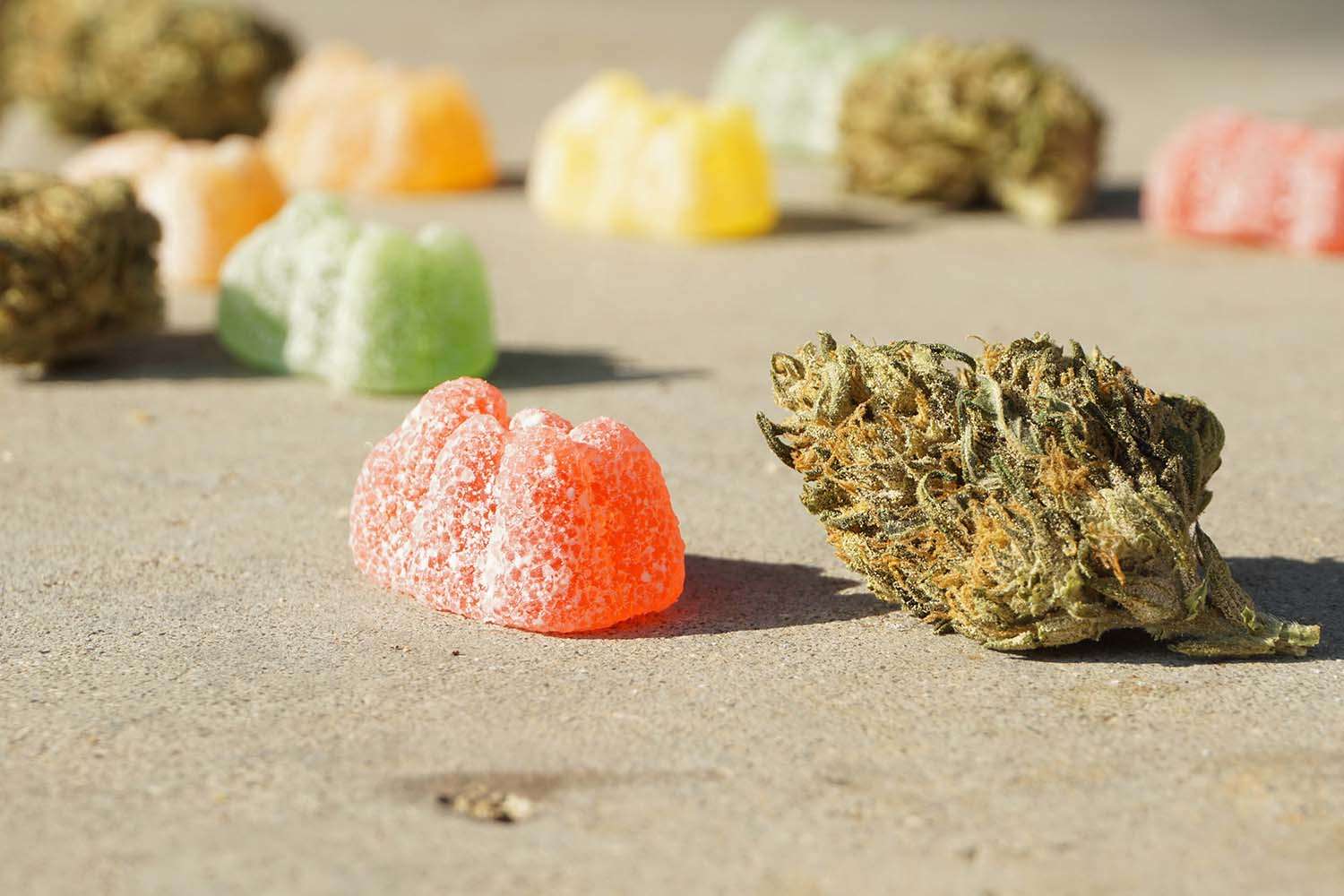 Marijuana edibles and cannabis buds