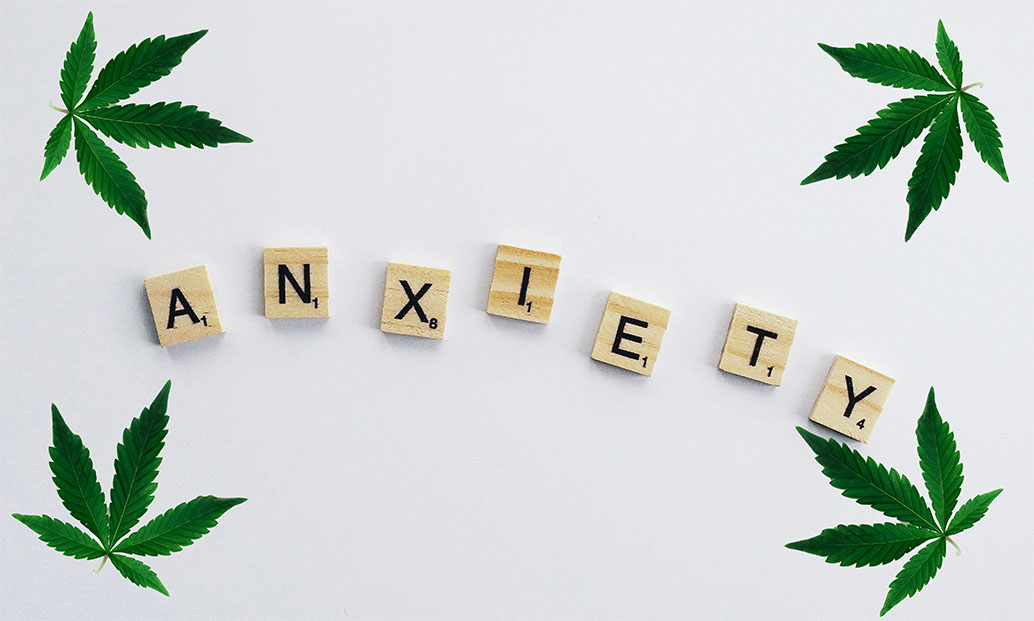 Scabble pieces surrounded by marijuana leaves spelling out anxiety