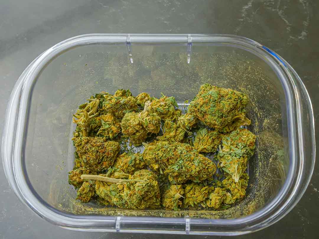 Container with thca buds