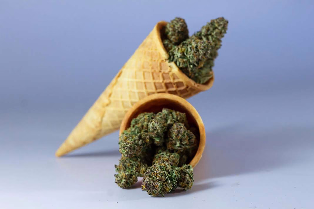 cannabis buds in ice cream cones